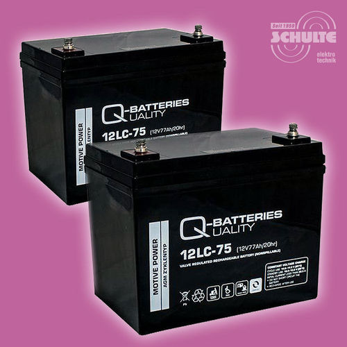 2 Stück Q-Batteries 12LC-75