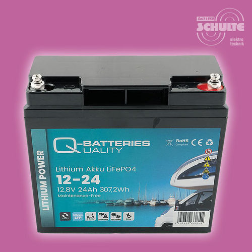 Q-Batteries Lithium-Akku LiFePO4 12-24